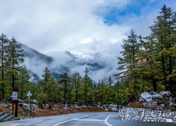 电磁炉使用什么炒锅或汤锅最好?-冷知分享平台